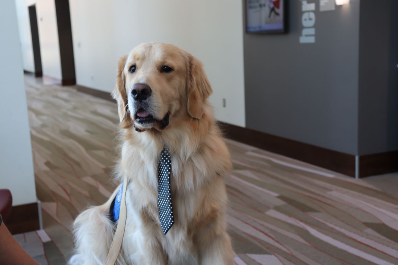 PAWS for a Break with Paw Print Ministries 