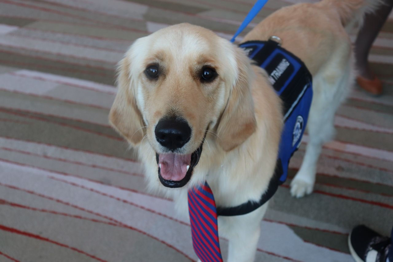 PAWS for a Break with Paw Print Ministries 