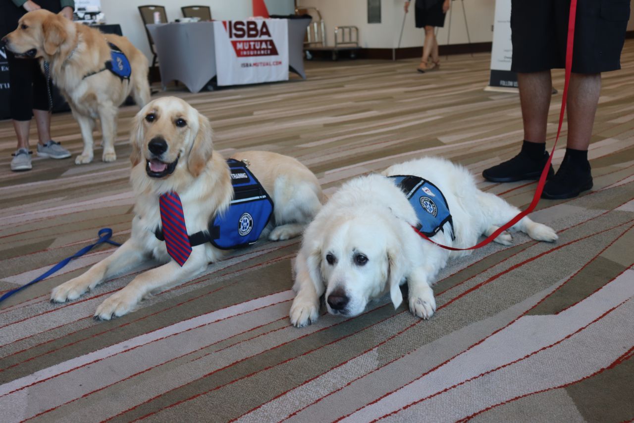 PAWS for a Break with Paw Print Ministries 