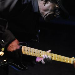 Catfish and the Big Boss Blues Band