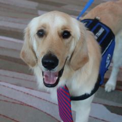 PAWS for a Break with Paw Print Ministries 